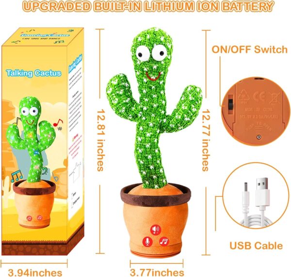 Baby Cactus